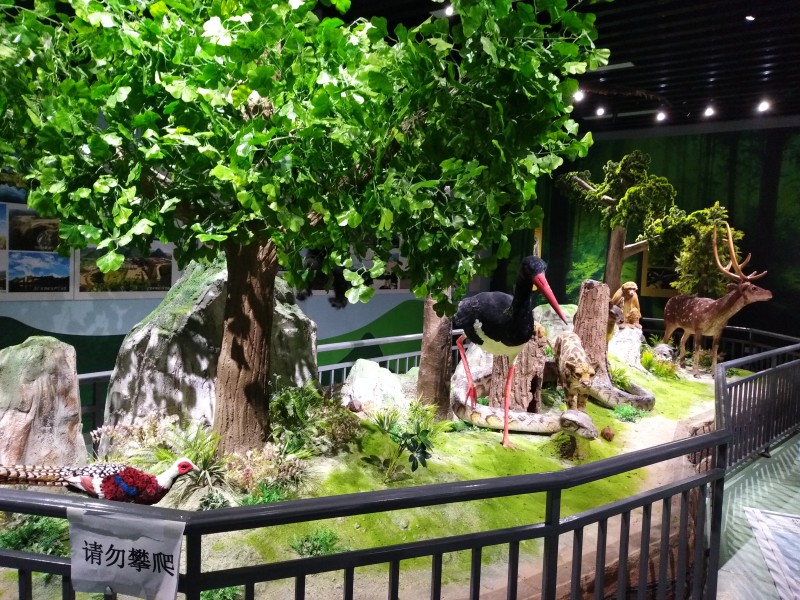 恐龍廠家_廣西博物館展覽現場圖